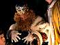 DSC00038.jpg
